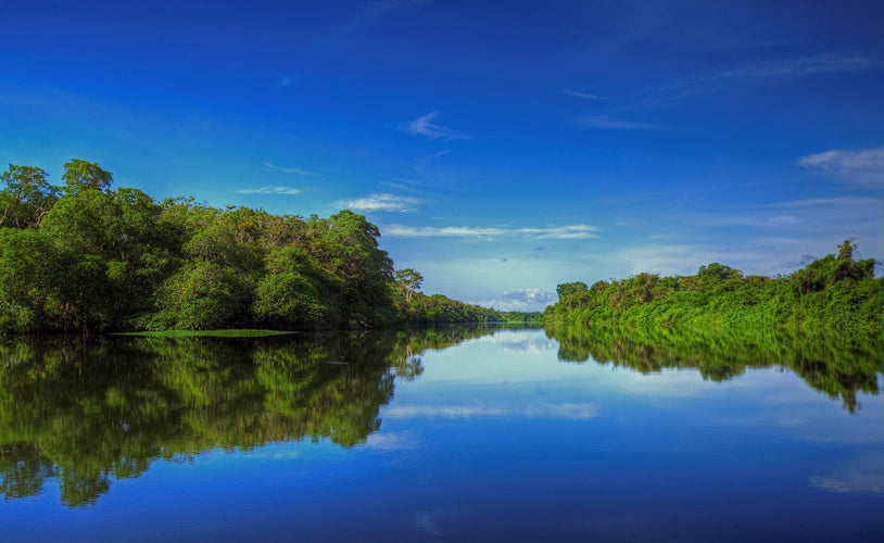Deserted Islands & Jungle Romance